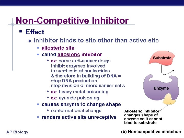 Non-Competitive Inhibitor § Effect u inhibitor binds to site other than active site §