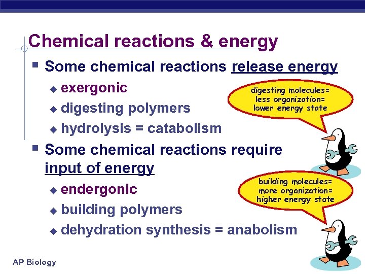 Chemical reactions & energy § Some chemical reactions release energy exergonic u digesting polymers