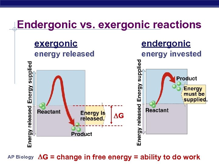 Endergonic vs. exergonic reactions exergonic endergonic energy released energy invested G AP Biology G