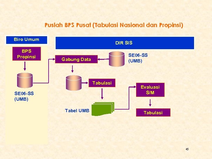 Puslah BPS Pusat (Tabulasi Nasional dan Propinsi) Biro Umum BPS Propinsi DIR SIS SE