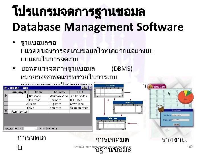 โปรแกรมจดการฐานขอมล Database Management Software • ฐานขอมลคอ แนวคดของการจดเกบขอมลไวทเดยวกนอยางมแ บบแผนในการจดเกบ • ซอฟตแวรจดการฐานขอมล (DBMS) หมายถงซอฟตแวรทชวยในการเกบ การเรยกคนมาใชงานการทำรายงาน การสรปผลจากขอมล