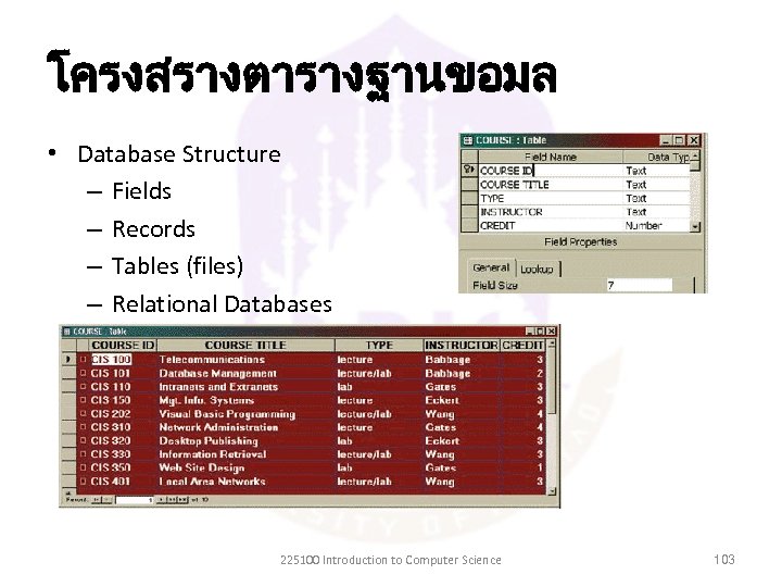 โครงสรางตารางฐานขอมล • Database Structure – Fields – Records – Tables (files) – Relational Databases