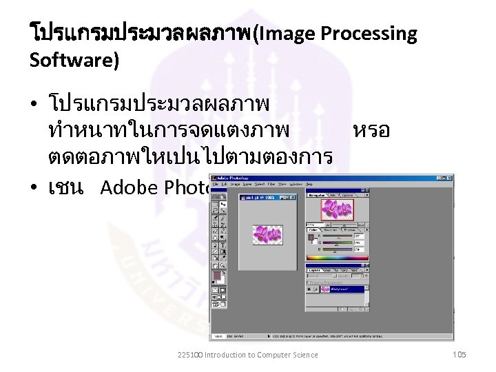 โปรแกรมประมวลผลภาพ(Image Processing Software) • โปรแกรมประมวลผลภาพ ทำหนาทในการจดแตงภาพ หรอ ตดตอภาพใหเปนไปตามตองการ • เชน Adobe Photoshop 225100 Introduction