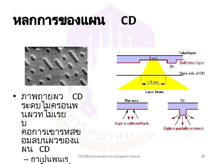 หลกการของแผน CD • ภาพถายผว CD ระดบไมครอนพ นผวทไมเรย บ คอการเขารหสข อมลบนผวของแ ผน CD – ถาเปนพนเร