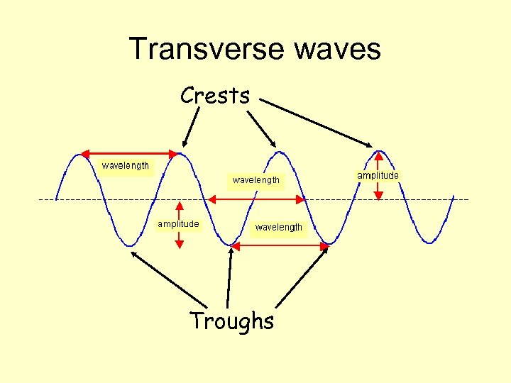 Transverse waves Crests Troughs 