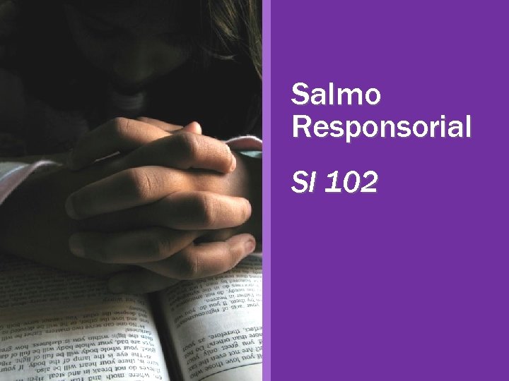 Salmo Responsorial Sl 102 