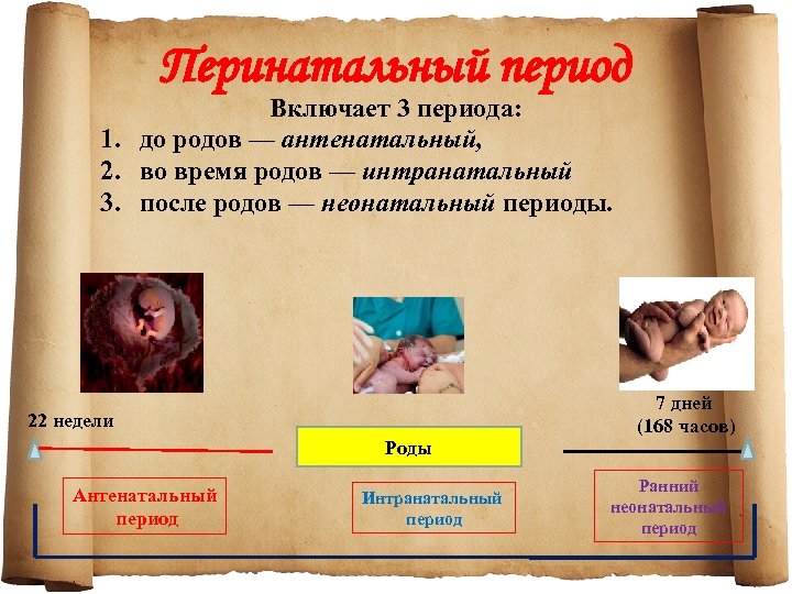 Перинатальный период Включает 3 периода: 1. до родов — антенатальный, 2. во время родов