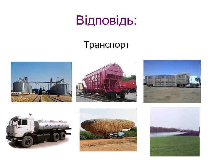 Відповідь: Транспорт 