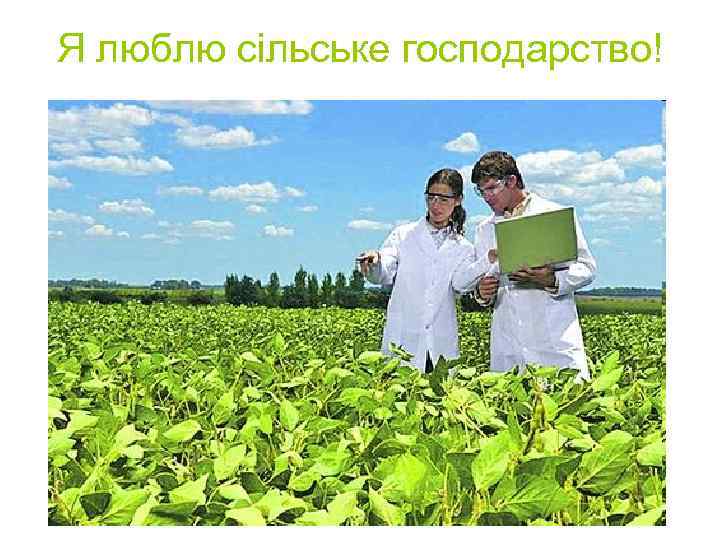 Я люблю сільське господарство! 