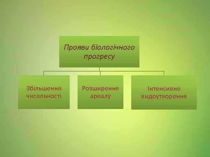 Прояви біологічного прогресу Збільшення чисельності Розширення ареалу Інтенсивне видоутворення 