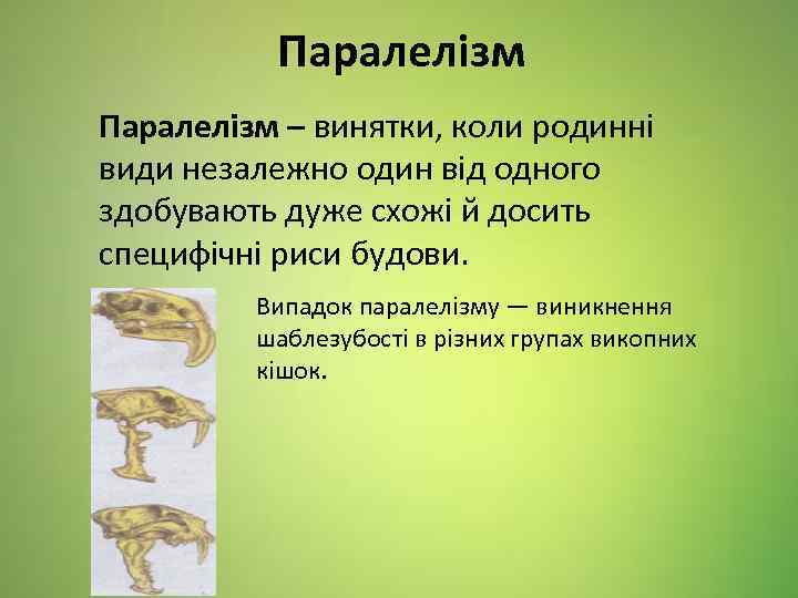 Паралелізм – винятки, коли родинні види незалежно один від одного здобувають дуже схожі й