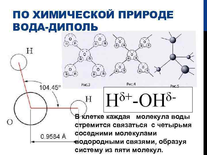 Диполь воды рисунок