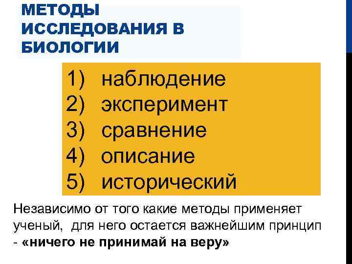 МЕТОДЫ ИССЛЕДОВАНИЯ В БИОЛОГИИ 1) 2) 3) 4) 5) наблюдение эксперимент сравнение описание исторический