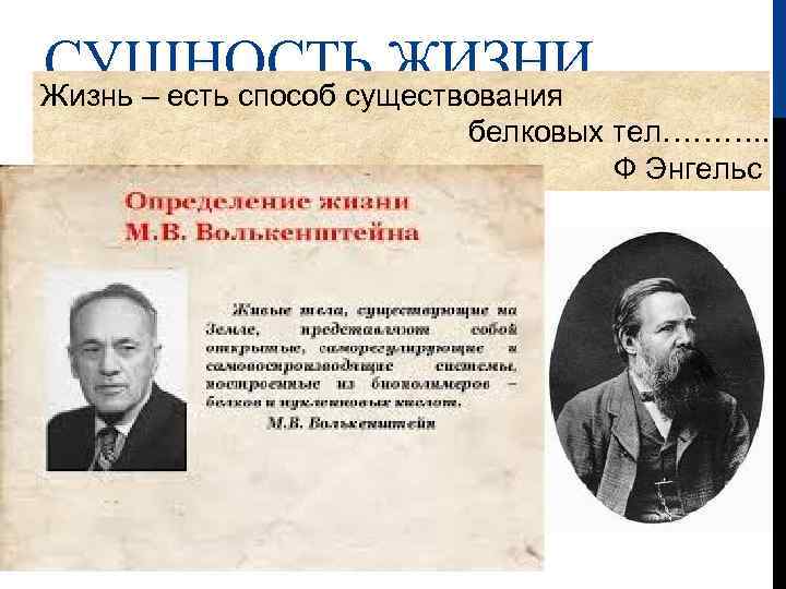 СУЩНОСТЬ ЖИЗНИ Жизнь – есть способ существования белковых тел………. . Ф Энгельс 