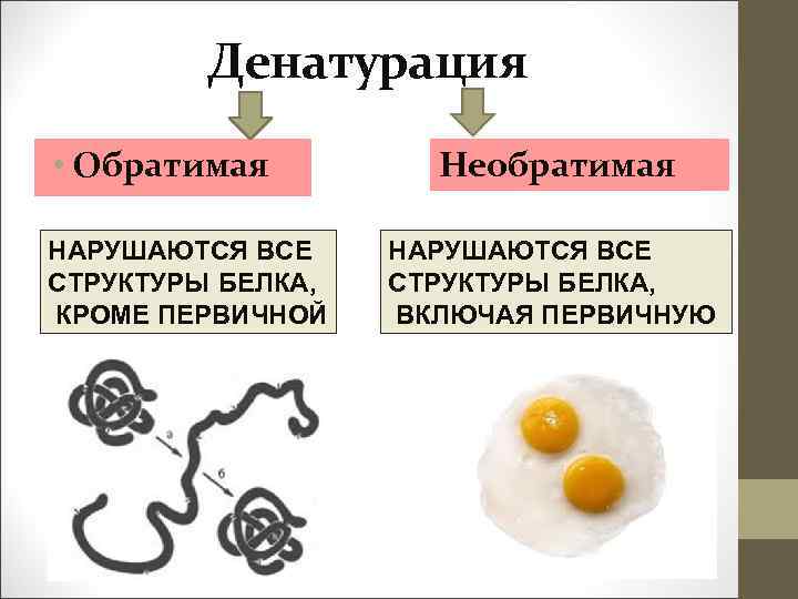 Денатурация белка это