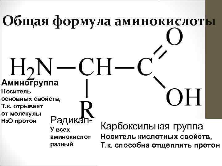 Белки функциональные группы. Общая формула аминокислот. Формула белков общая формула. Общая формула белков химия. Общая химическая формула аминокислот.