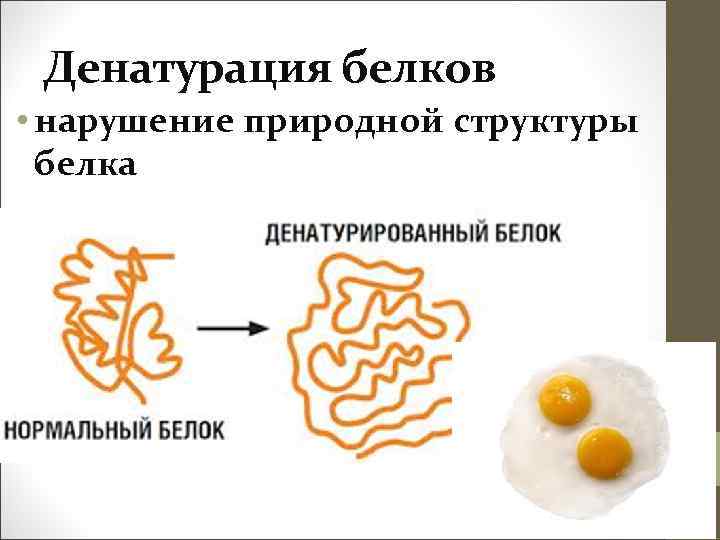 Процессы денатурации белков