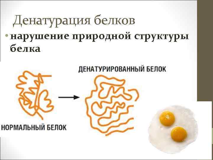 Денатурация белка картинка