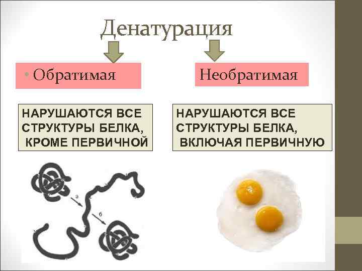 Денатурация • Обратимая НАРУШАЮТСЯ ВСЕ СТРУКТУРЫ БЕЛКА, КРОМЕ ПЕРВИЧНОЙ Необратимая НАРУШАЮТСЯ ВСЕ СТРУКТУРЫ БЕЛКА,