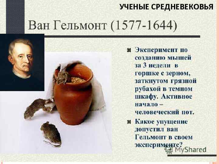 УЧЕНЫЕ СРЕДНЕВЕКОВЬЯ 