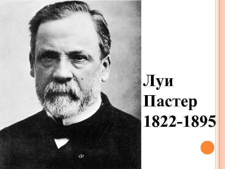 Луи Пастер 1822 -1895 