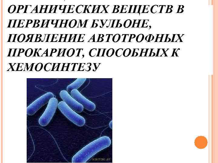 ОРГАНИЧЕСКИХ ВЕЩЕСТВ В ПЕРВИЧНОМ БУЛЬОНЕ, ПОЯВЛЕНИЕ АВТОТРОФНЫХ ПРОКАРИОТ, СПОСОБНЫХ К ХЕМОСИНТЕЗУ 