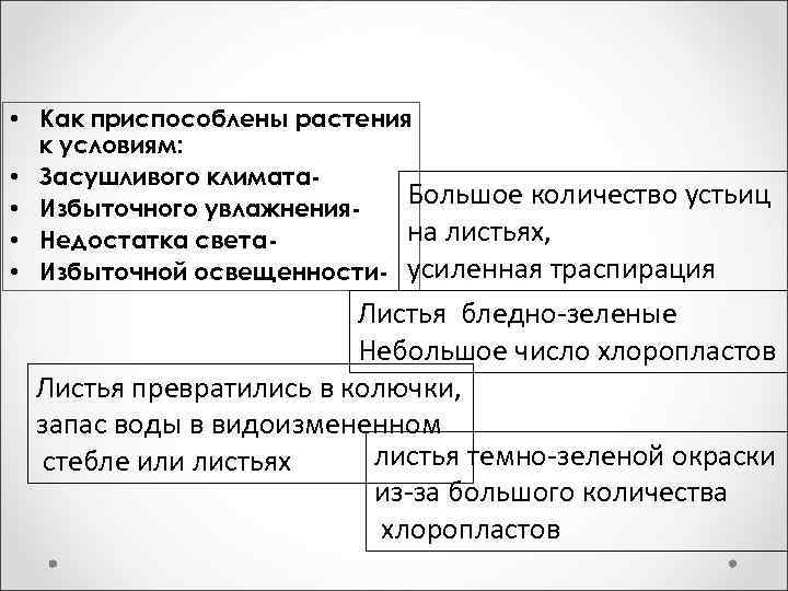  • Как приспособлены растения к условиям: • Засушливого климата. Большое количество устьиц •