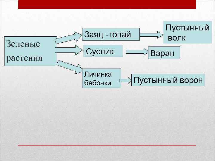 Зеленые растения Заяц -толай Суслик Личинка бабочки Пустынный волк Варан Пустынный ворон 