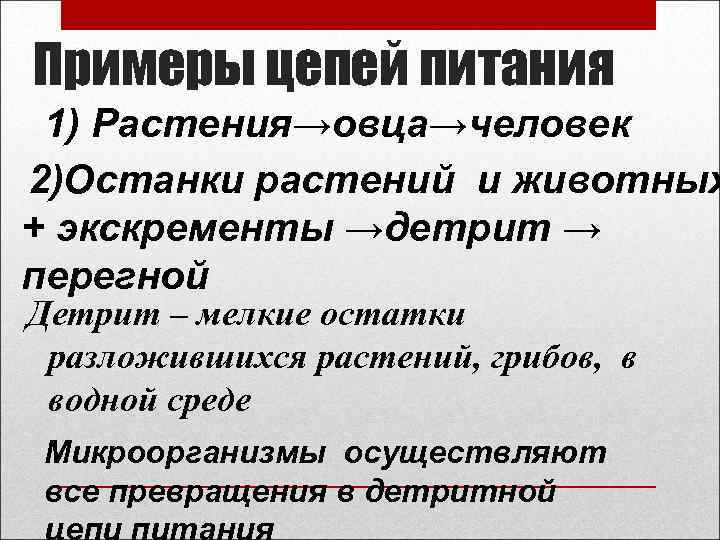 Примеры цепей питания 1) Растения→овца→человек 2)Останки растений и животных + экскременты →детрит → перегной