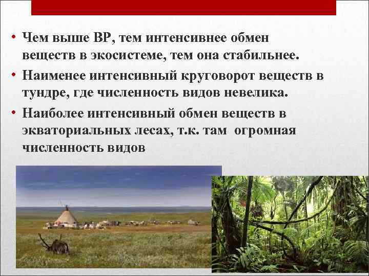  • Чем выше ВР, тем интенсивнее обмен веществ в экосистеме, тем она стабильнее.