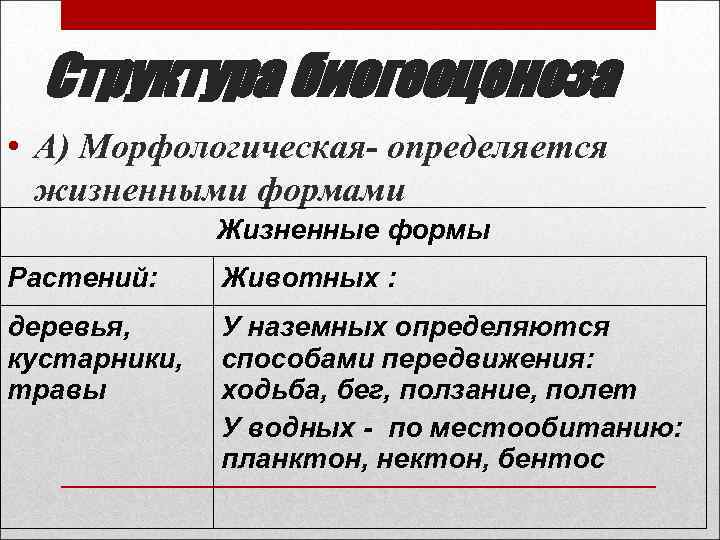 Структура биогеоценоза • А) Морфологическая- определяется жизненными формами Жизненные формы Растений: Животных : деревья,