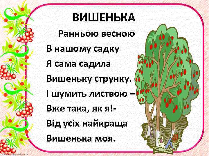 ВИШЕНЬКА Ранньою весною В нашому садку Я сама садила Вишеньку струнку. І шумить листвою