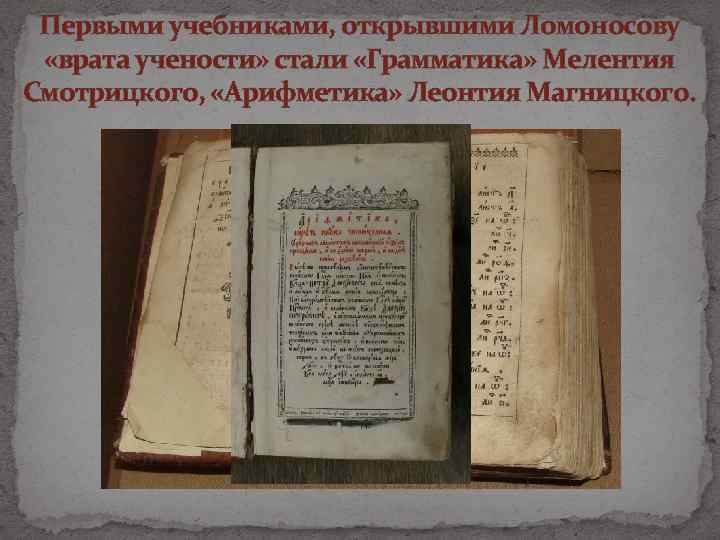 Первыми учебниками, открывшими Ломоносову «врата учености» стали «Грамматика» Мелентия Смотрицкого, «Арифметика» Леонтия Магницкого. 