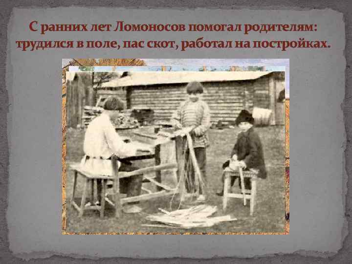 С ранних лет Ломоносов помогал родителям: трудился в поле, пас скот, работал на постройках.