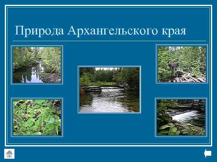 Природа Архангельского края 