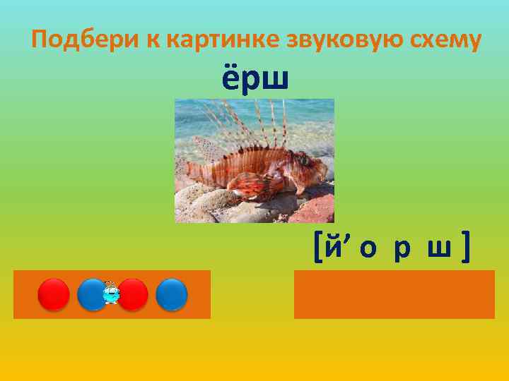 Подбери к картинке звуковую схему ёрш [й’ о р ш ] 