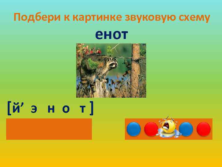 Подбери к картинке звуковую схему енот [й’ э н о т ] 