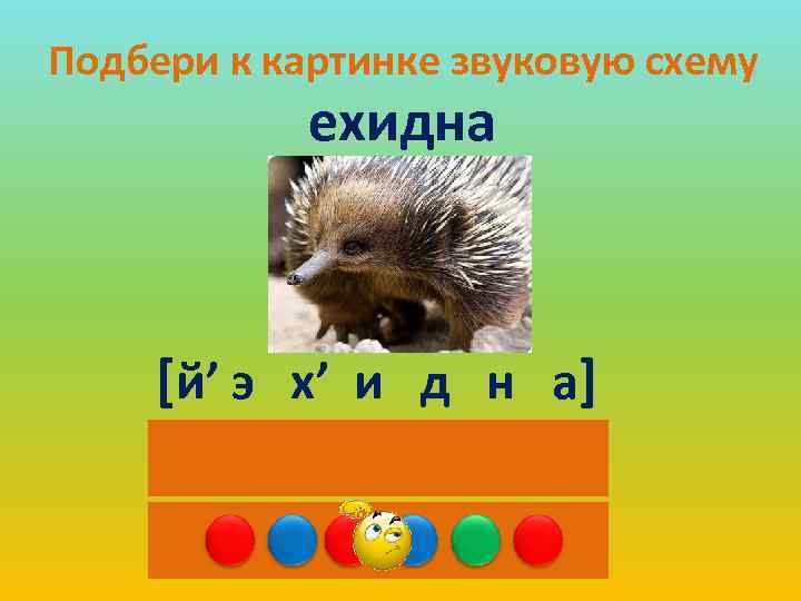 Подбери к картинке звуковую схему ехидна [й’ э х’ и д н а] 