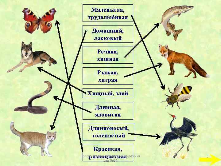 Маленькая, трудолюбивая Домашний, ласковый Речная, хищная Рыжая, хитрая Хищный, злой Длинная, ядовитая Длинноносый, голенастый