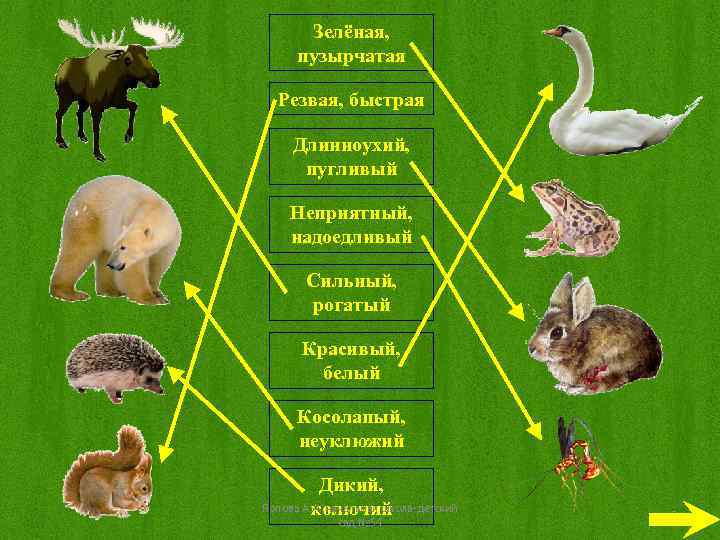 Зелёная, пузырчатая Резвая, быстрая Длинноухий, пугливый Неприятный, надоедливый Сильный, рогатый Красивый, белый Косолапый, неуклюжий