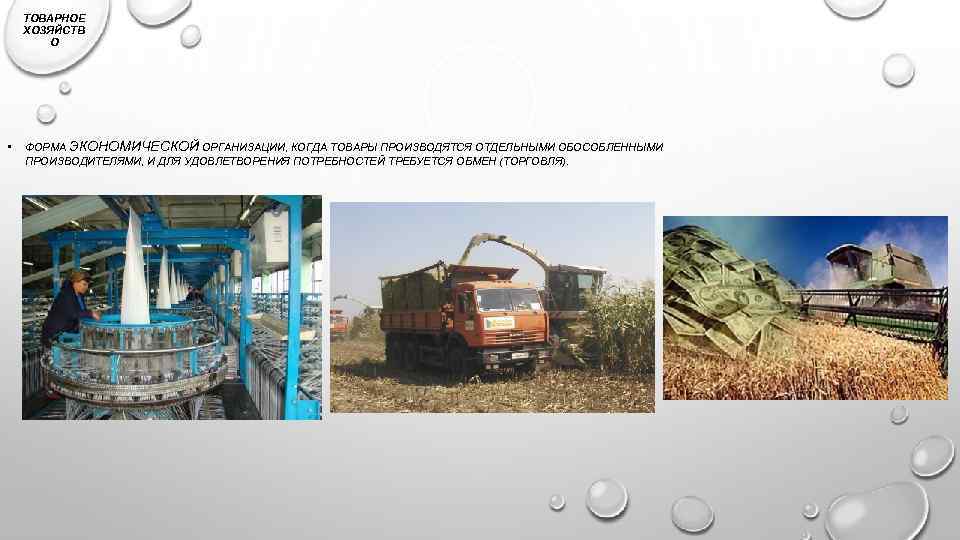 ТОВАРНОЕ ХОЗЯЙСТВ О • ФОРМА ЭКОНОМИЧЕСКОЙ ОРГАНИЗАЦИИ, КОГДА ТОВАРЫ ПРОИЗВОДЯТСЯ ОТДЕЛЬНЫМИ ОБОСОБЛЕННЫМИ ПРОИЗВОДИТЕЛЯМИ, И