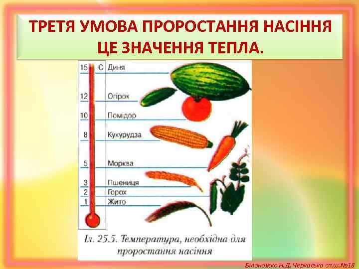 ТРЕТЯ УМОВА ПРОРОСТАННЯ НАСІННЯ ЦЕ ЗНАЧЕННЯ ТЕПЛА. Білоножко Н. Д. Черкаська сп. ш. №