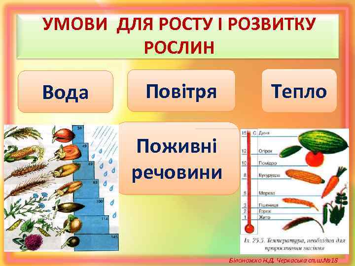 УМОВИ ДЛЯ РОСТУ І РОЗВИТКУ РОСЛИН Вода Повітря Тепло Поживні речовини Білоножко Н. Д.