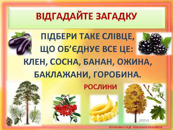 ВІДГАДАЙТЕ ЗАГАДКУ ПІДБЕРИ ТАКЕ СЛІВЦЕ, ЩО ОБ’ЄДНУЄ ВСЕ ЦЕ: КЛЕН, СОСНА, БАНАН, ОЖИНА, БАКЛАЖАНИ,