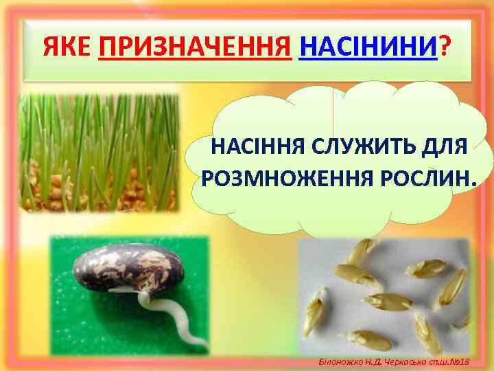 ЯКЕ ПРИЗНАЧЕННЯ НАСІНИНИ? НАСІННЯ СЛУЖИТЬ ДЛЯ РОЗМНОЖЕННЯ РОСЛИН. Білоножко Н. Д. Черкаська сп. ш.