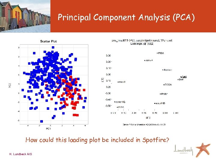 Principal Component Analysis (PCA) How could this loading plot be included in Spotfire? H.