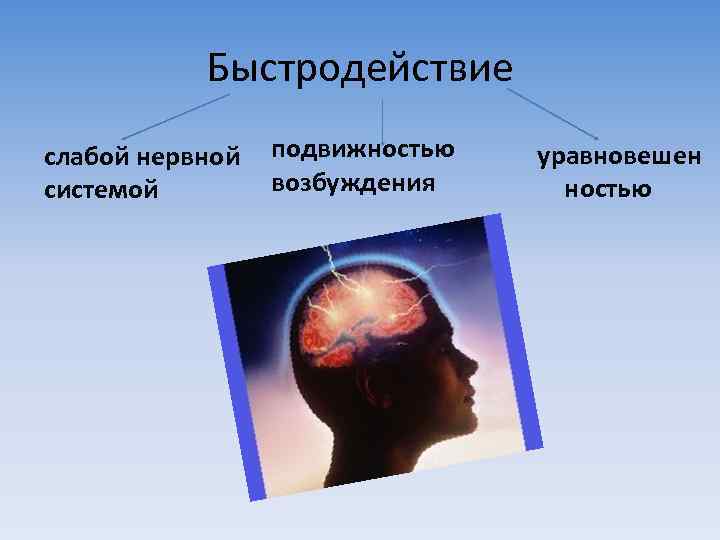 Быстродействие слабой нервной системой подвижностью возбуждения уравновешен ностью 