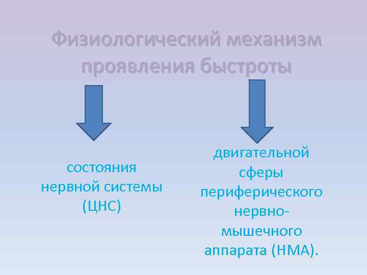 Физиологический механизм проявления быстроты состояния нервной системы (ЦНС) двигательной сферы периферического нервномышечного аппарата (НМА).