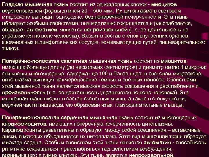 Гладкая мышечная ткань состоит из одноядерных клеток - миоцитов веретеновидной формы длиной 20 –
