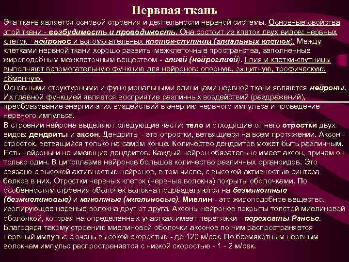 Нервная ткань Эта ткань является основой строения и деятельности нервной системы. Основные свойства этой